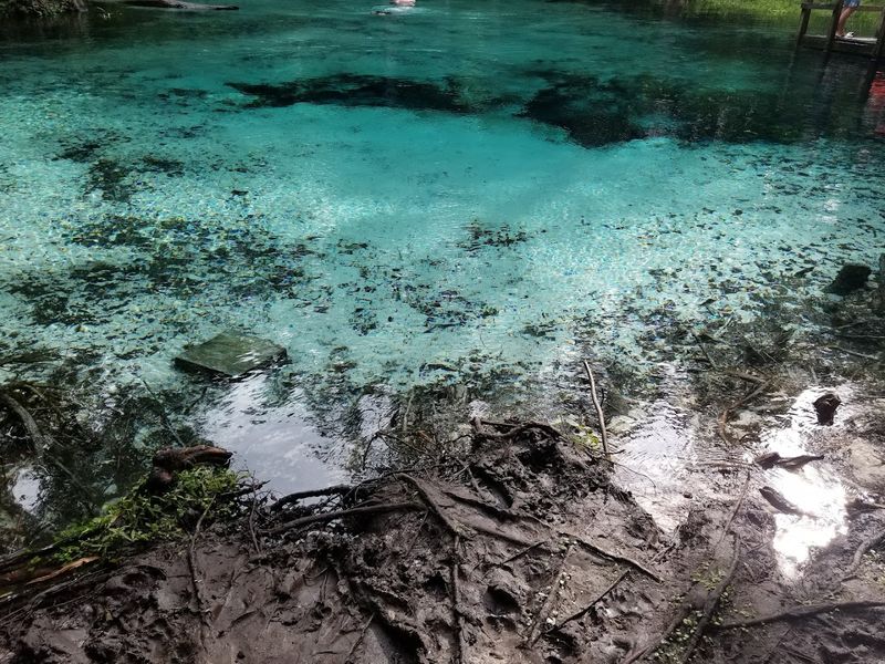 Restoration Springs Project Areas