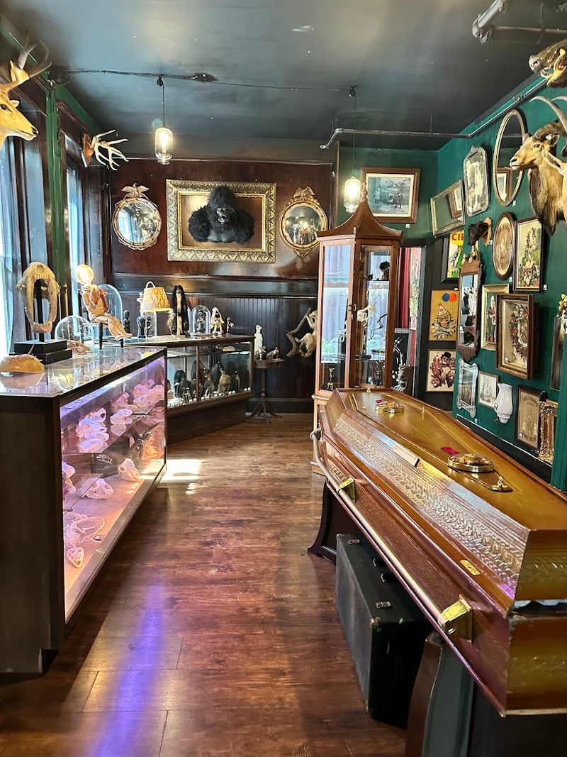 Victorian Mourning Photos and Ephemera