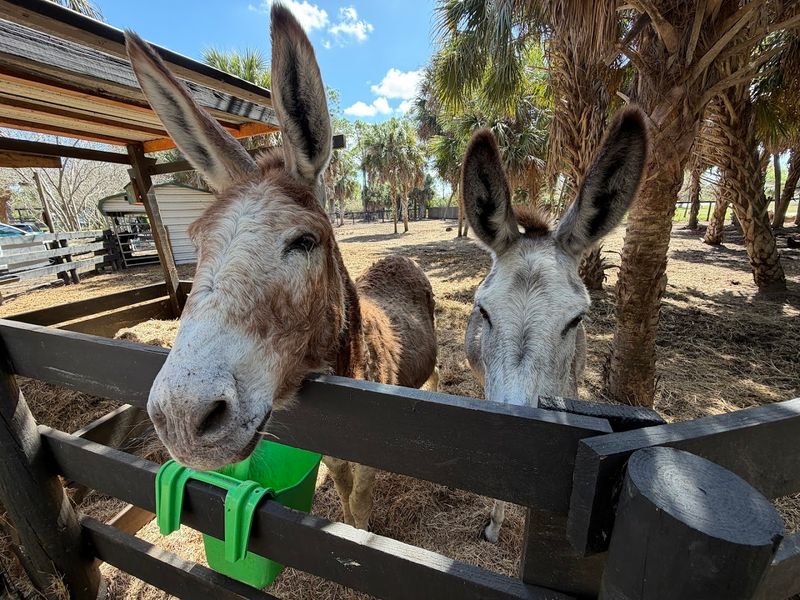 Meeting the Residents Who Call Fandango Home