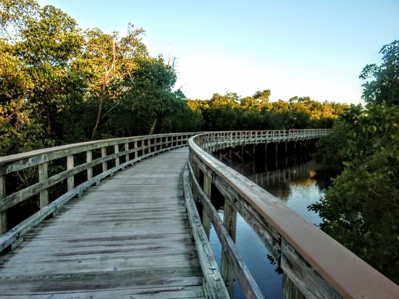 Mangrove Tunnels That Transport You to Another World