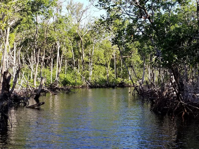 Mental Toughness That Matters More Than Fitness