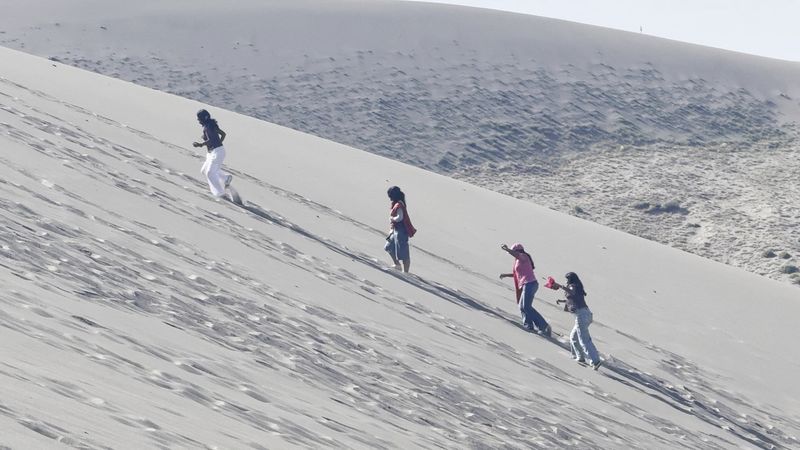 Sandboarding And Sled Rentals