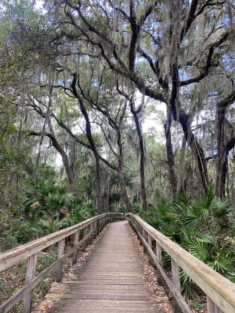 The Trail Itself: What to Expect Before You Lace Up