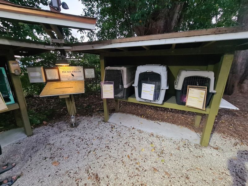 How to Reach the Center When You Need Help Fast