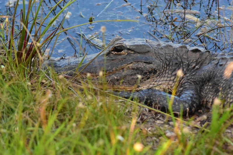 Photography Secrets From The Rail