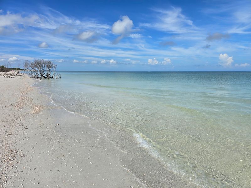 Shell Key (Tierra Verde)