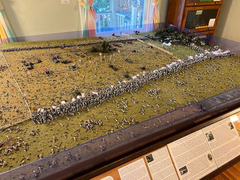 The battle scenes are deeply researched and surprisingly clear