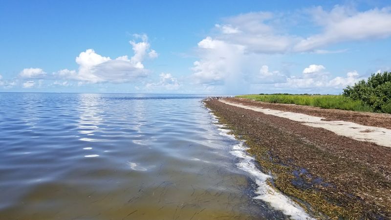 Horseshoe Beach (Dixie County)