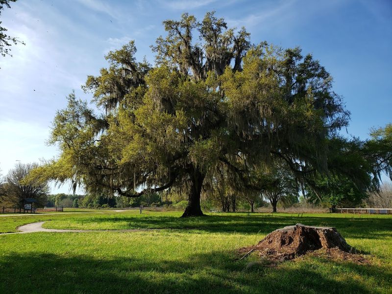 History Embedded in Every Acre