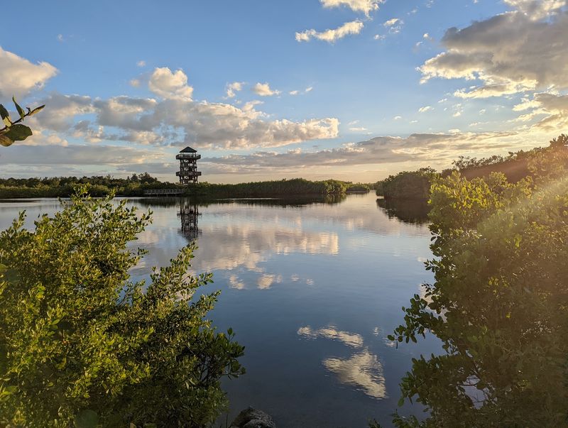 Sunset Views That Stop You in Your Tracks