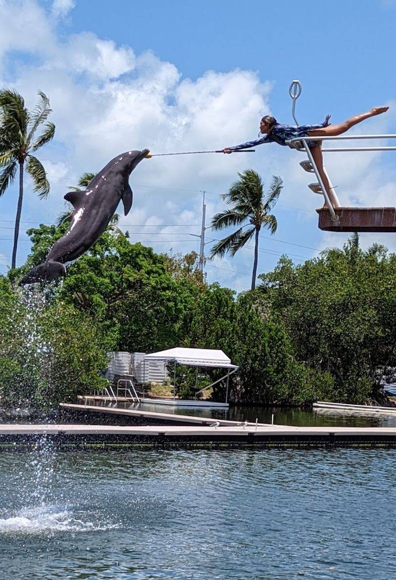 A 1946 Legacy Woven In Coral Rock