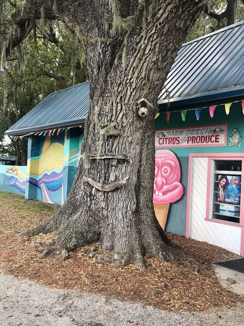 Shop for Fresh Florida Citrus and Homemade Treats