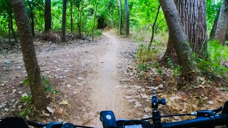 Perfect for Hardtail Mountain Bikes