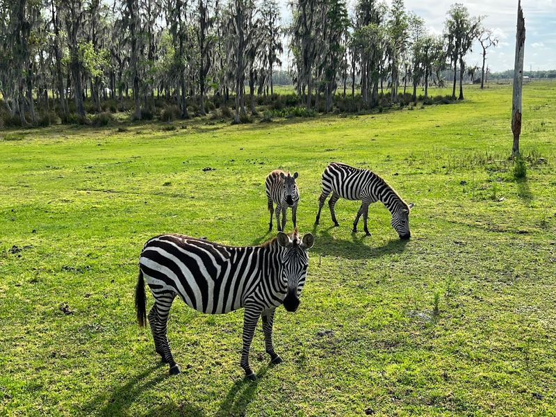 Who Will Love It and Why