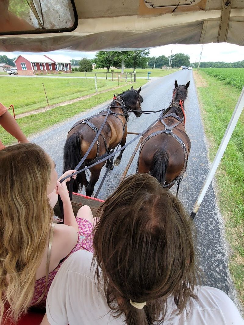 Tucked Away In Ethridge, This Wagon Tour Offers A Slower Look At Tennessee Amish Country
