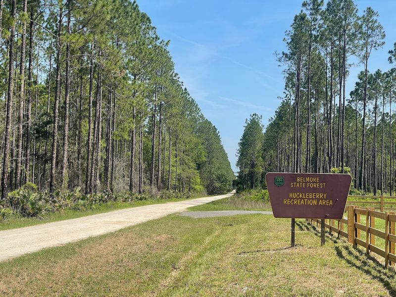 Free Access to Authentic Florida Wilderness Experience