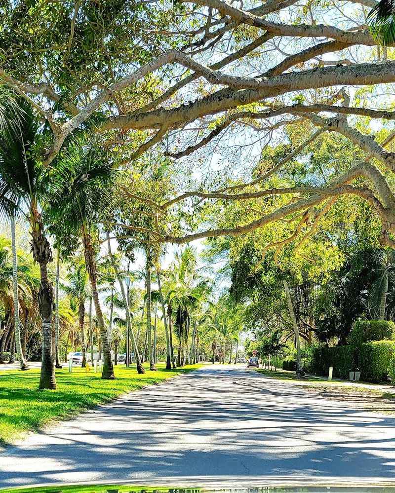 Biking Through Old Florida Landscapes