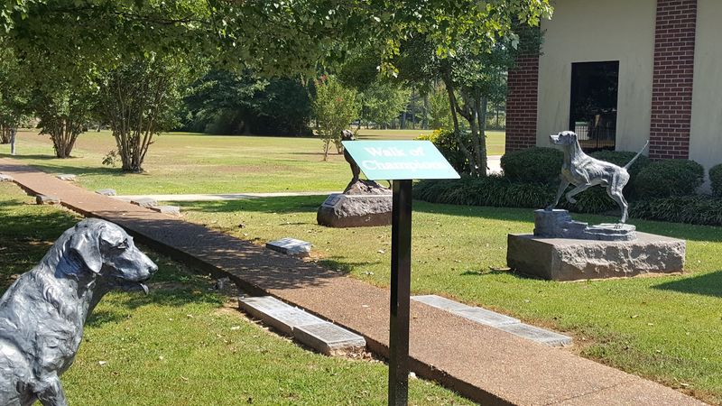 Exploring the Field Trial Capital of the World