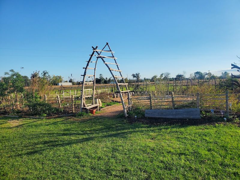 Snake Woman's Garden: Where Food Becomes Culture