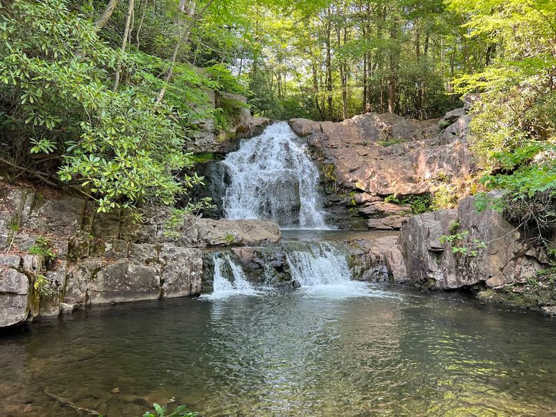 Hawk Falls Trail, Hickory Run State Park