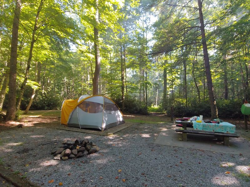 Everything to Know Before You Go