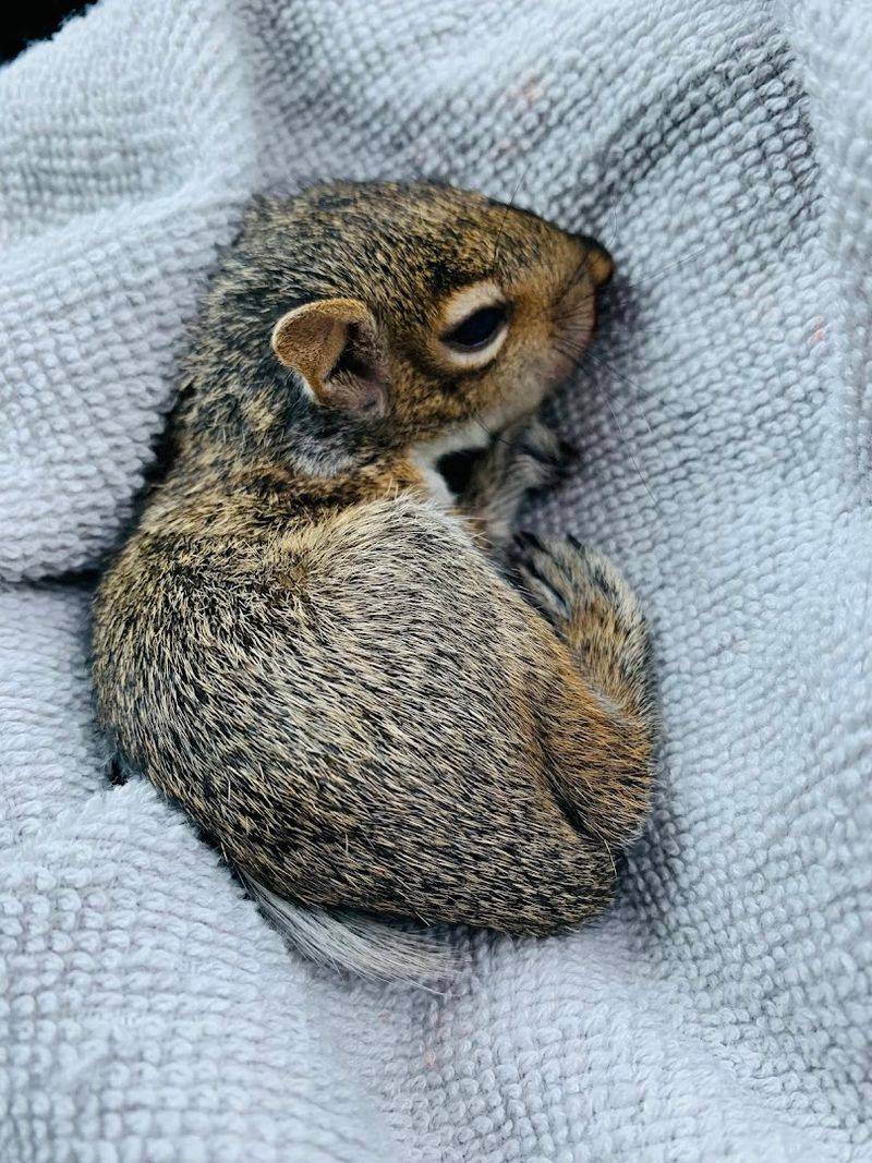 Community Members Are the First Responders