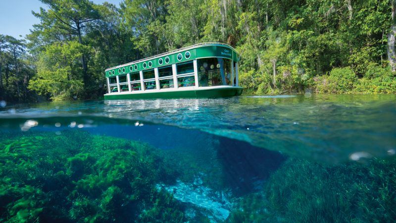 Why Silver Springs Is Affordable And Worth It