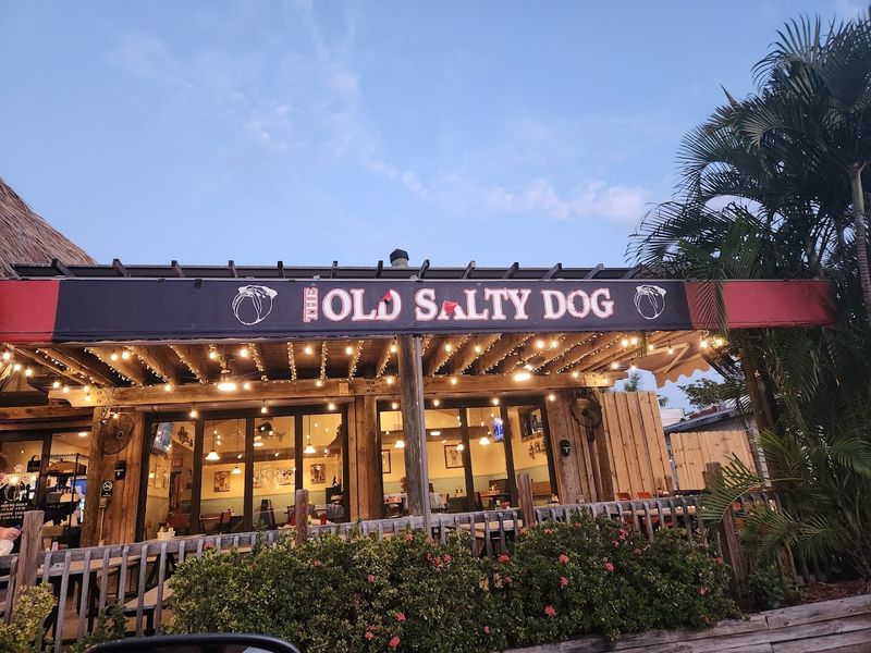 The Old Salty Dog – Siesta Key, FL