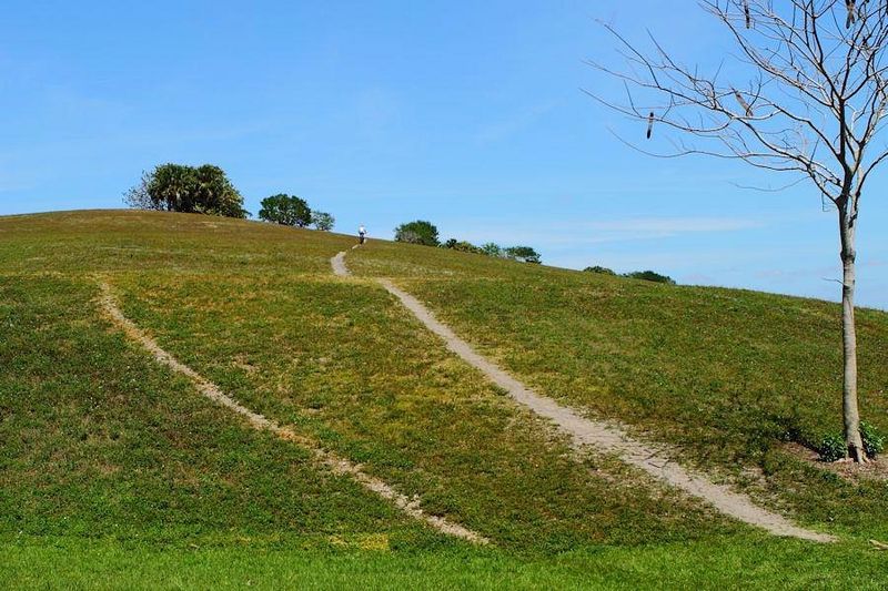 Climbing to One of Broward County's Highest Points