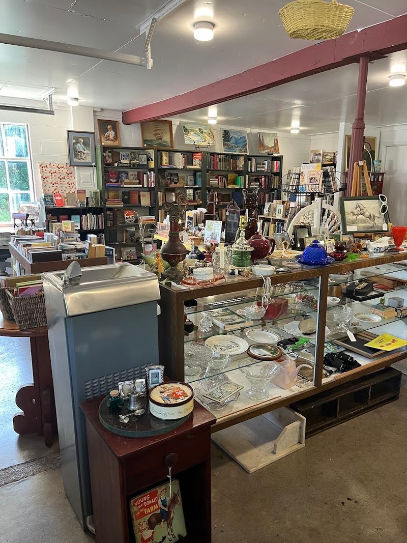 What Makes Louisville Books and Antiques a True Hidden Gem