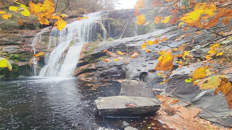 The Best Time to See Bald River Falls at Its Peak