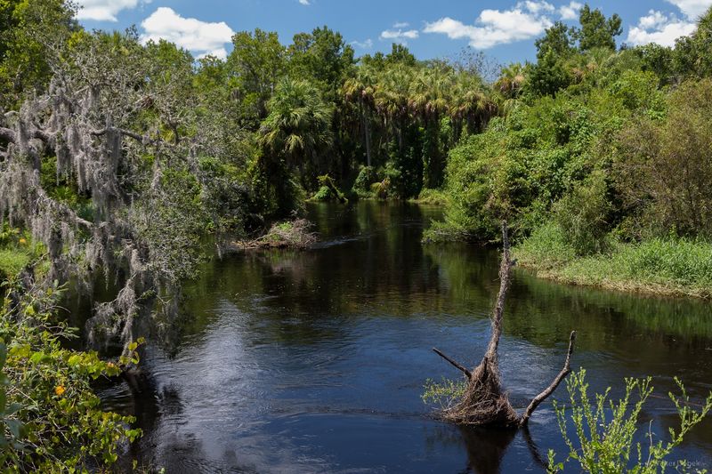 Equestrian Trails for Horseback Riders