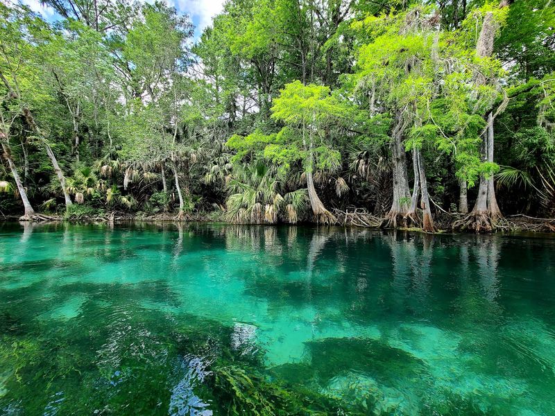 Silver Springs State Park (Silver Springs)