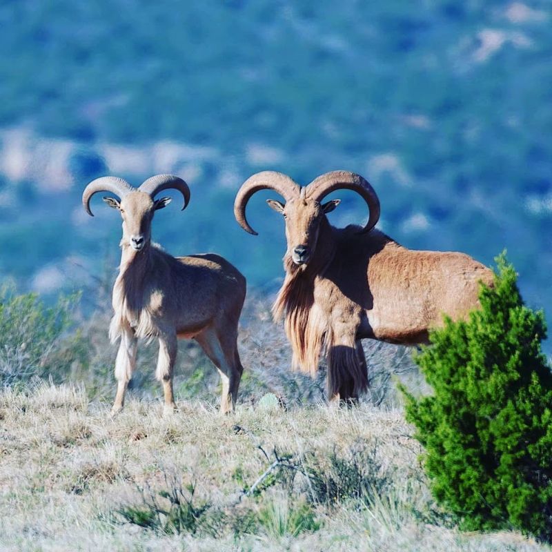 Wildlife and Photography Opportunities Everywhere