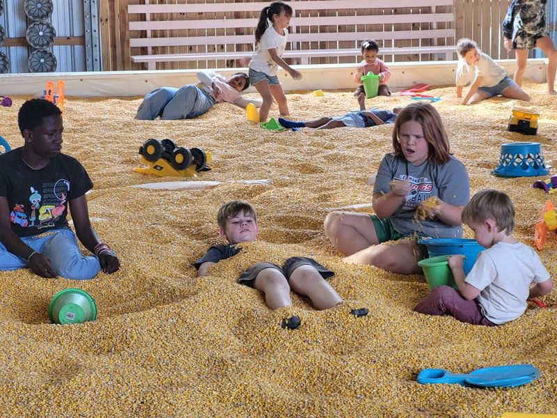 Corn Pit Sensory Experience For All Ages