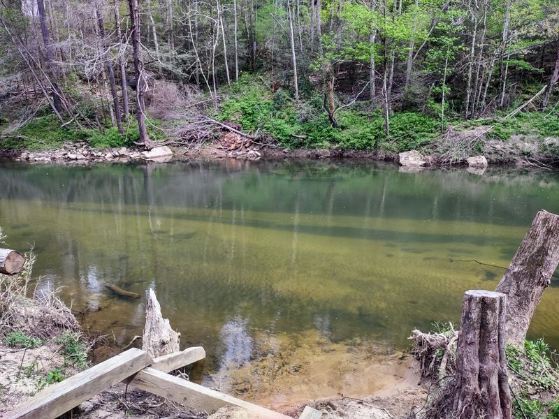 The Natural Beauty Surrounding the Village