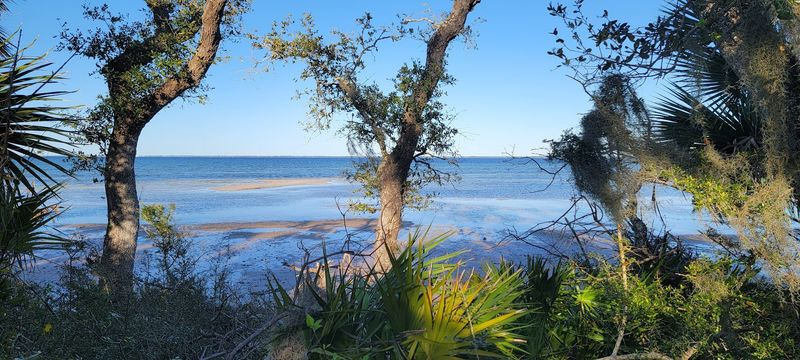 St. Joseph Peninsula State Park: Where Wild Florida Still Lives