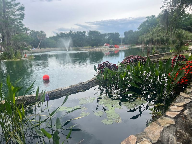 John's Lagoon and the Expanding Oasis Area