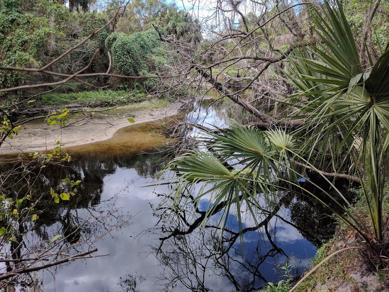 Campsites That Feel Like Your Own Private Hideaway