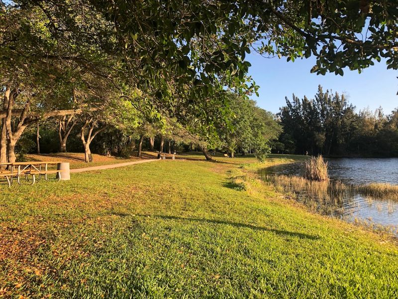Pavilions, Grills, and Picnic Spots Perfect for Gatherings