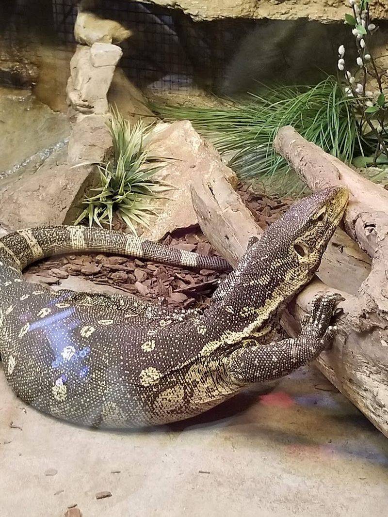 The reptile house adds a different kind of excitement