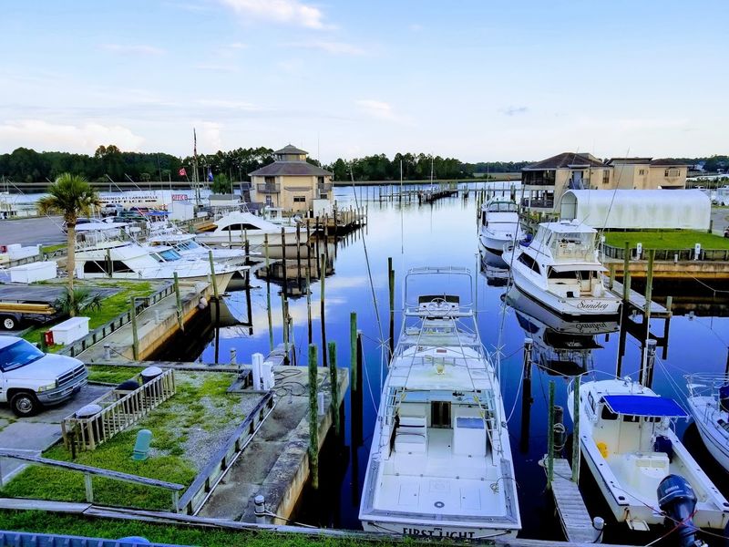 Fresh Local Seafood Scene