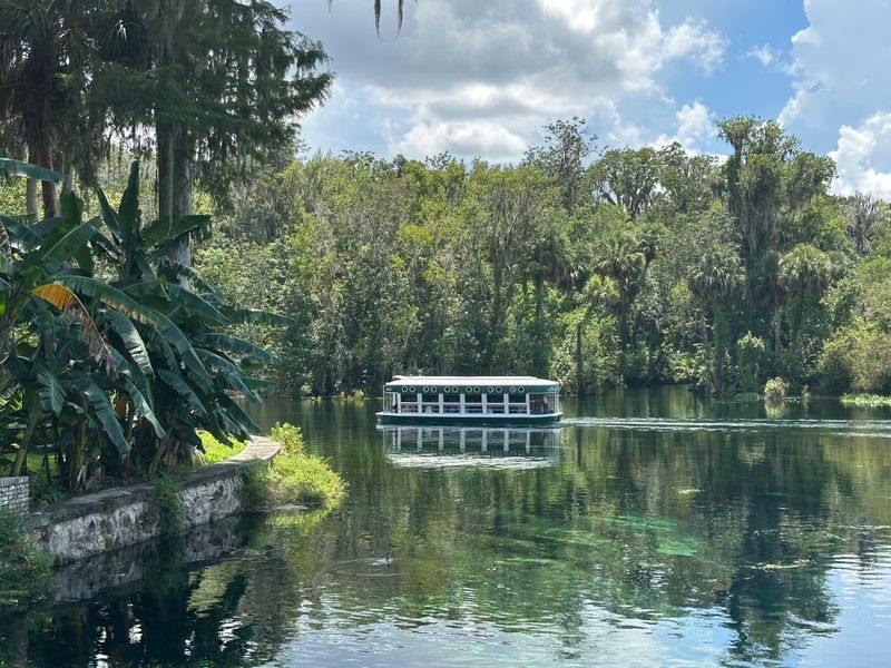 Best Time To Go And What You Will See