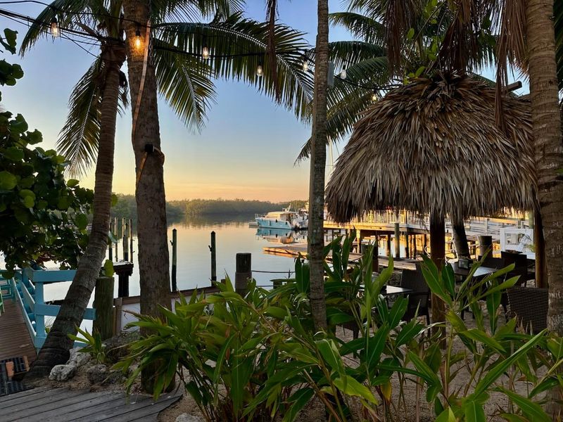 Patrona Coastal Café (St. Petersburg)