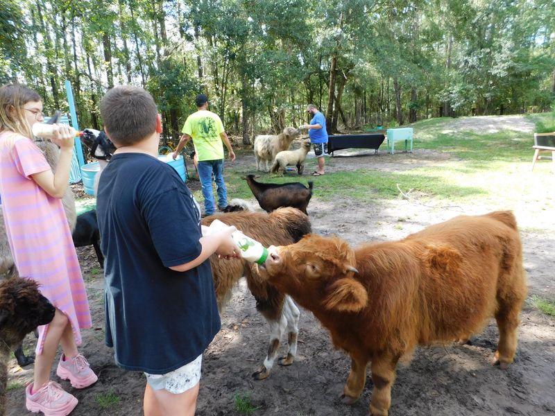 Bottle Feeding Baby Animals
