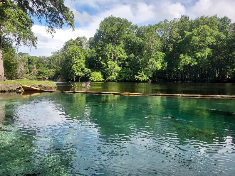 Rum Island Spring — Fort White
