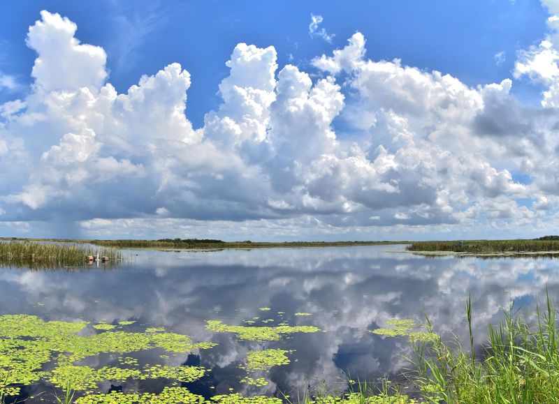 Walk the Marsh Trail and Levee