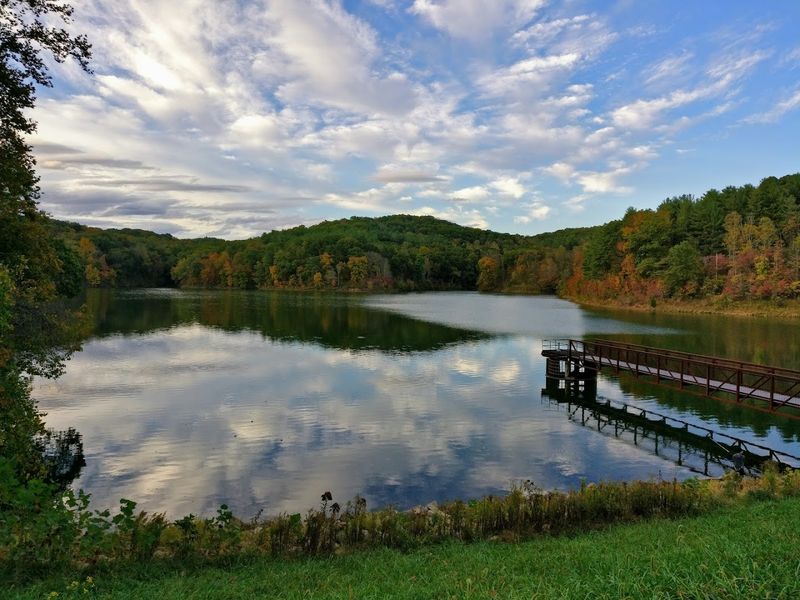 Wildlife Moments You Will Remember