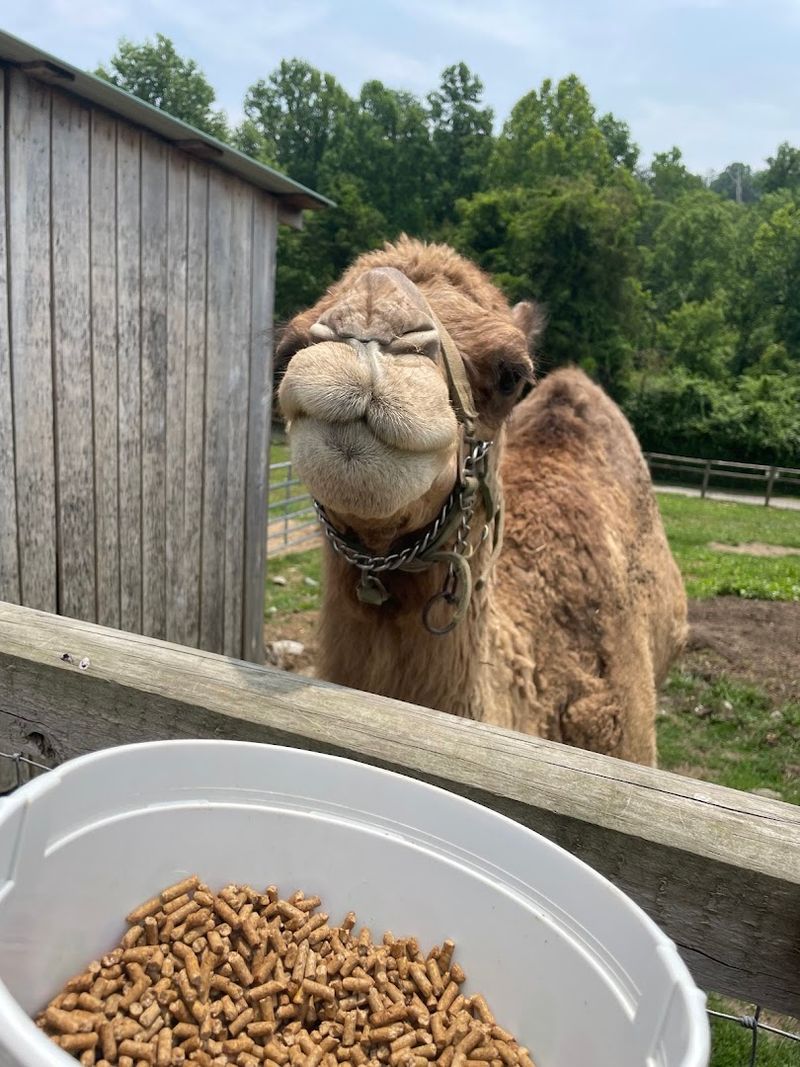 A Closer Look at the Exotic Animals That Make This Zoo Stand Out