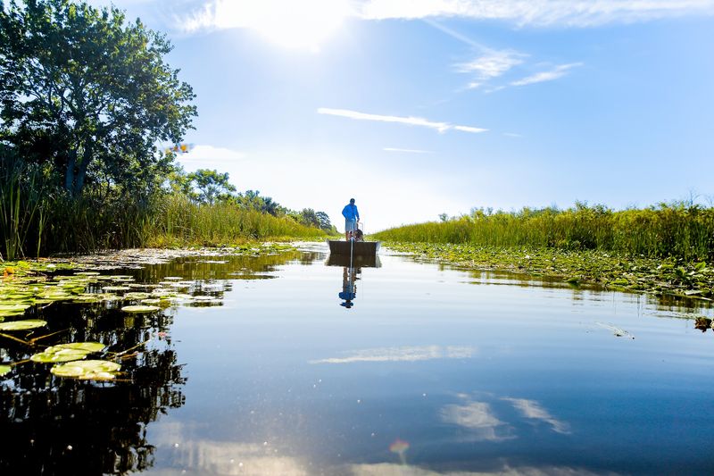 Lake Griffin (Lake County)